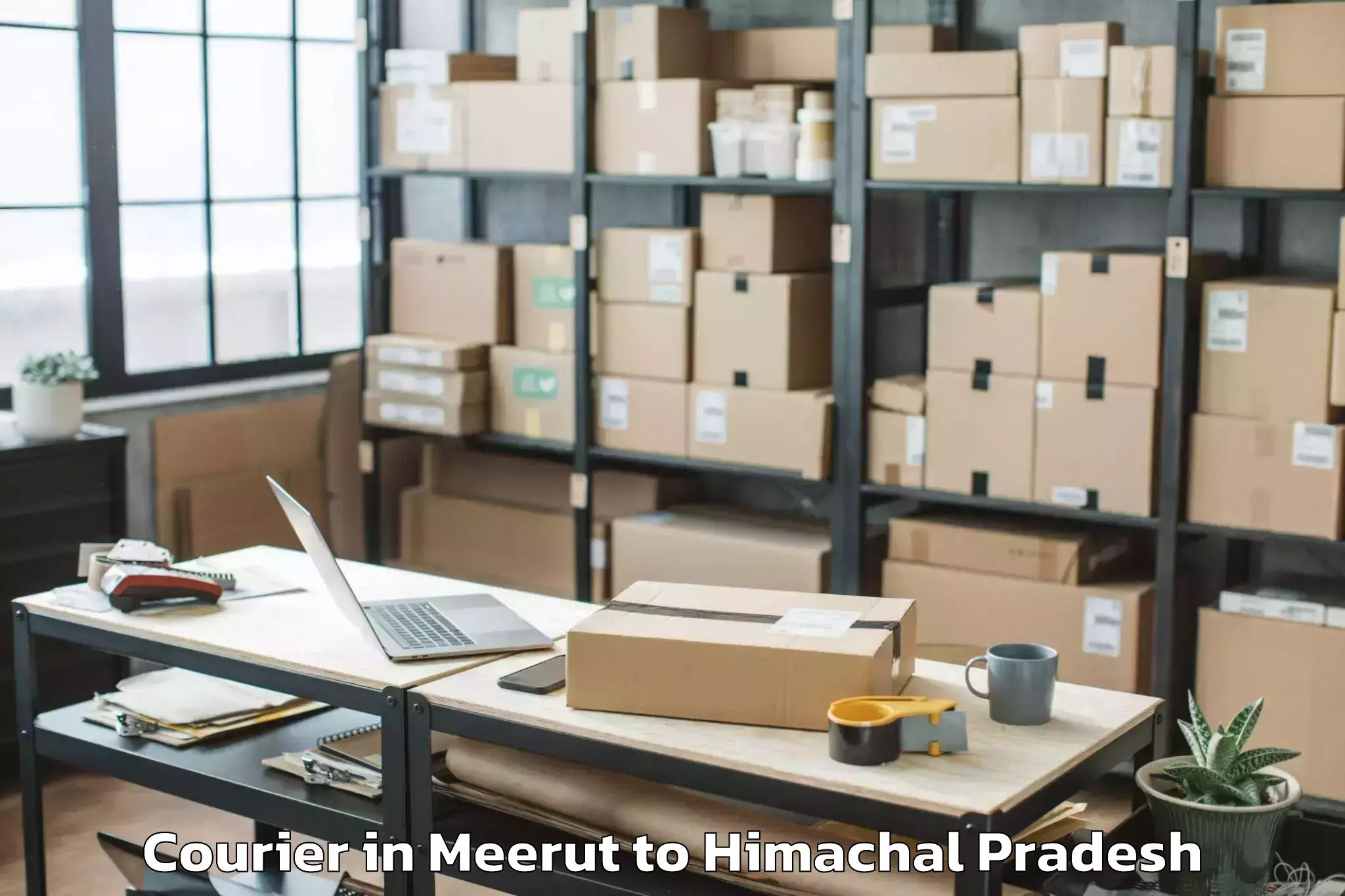 Leading Meerut to Baldwara Courier Provider